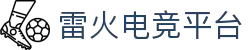 雷火·竞技(中国)-全球领先的电竞赛事平台